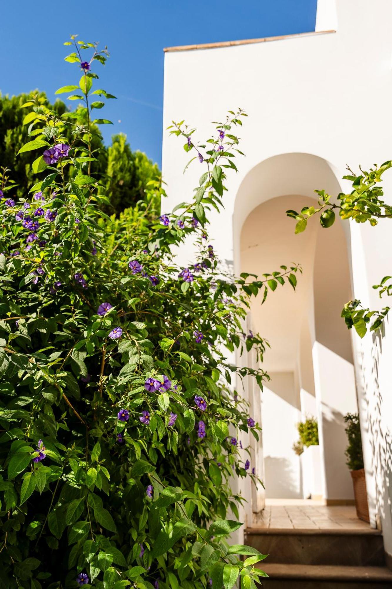 Hotel Senaria Анакапри Екстериор снимка